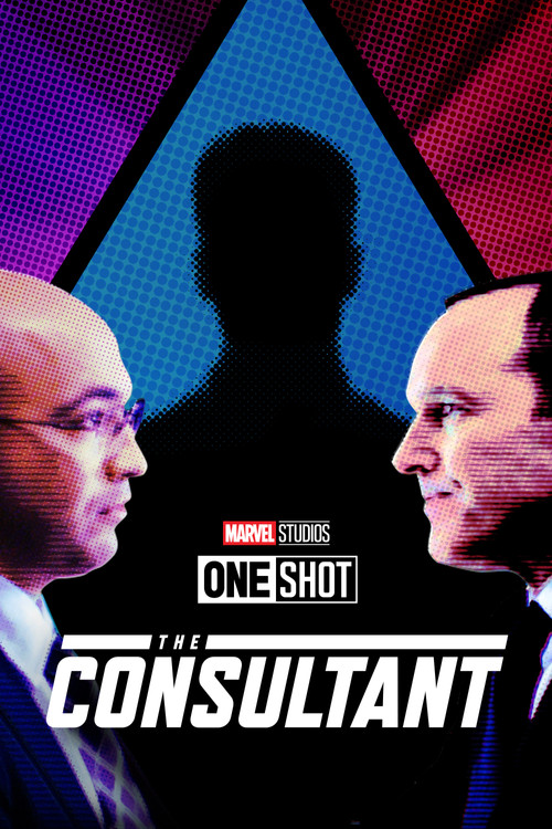 The Consultant poster